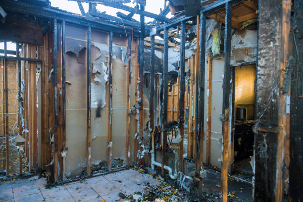Professional Fire Damage Removal technician working in Isle of Hope, GA